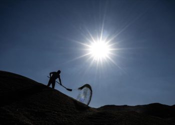 Kavurucu sıcaklara rağmen çiftçiler tarlada zorlu mesaisini sürdürüyor