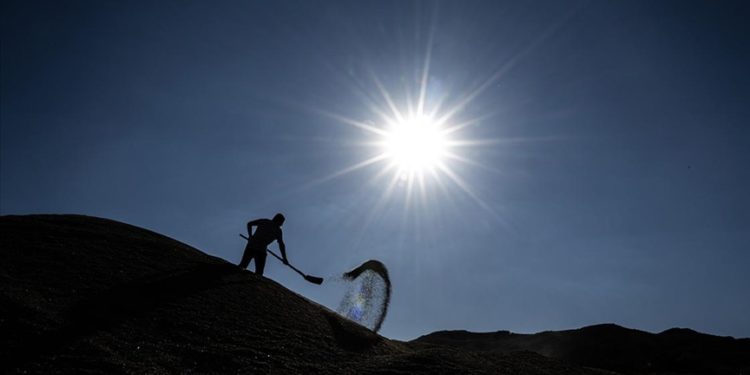 Kavurucu sıcaklara rağmen çiftçiler tarlada zorlu mesaisini sürdürüyor
