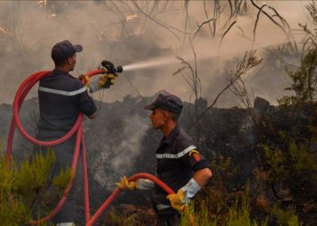 Fas'ın kuzeyinde üç gündür devam eden orman yangınını söndürme çalışmaları sürüyor