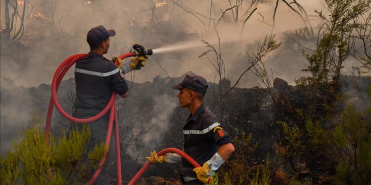 Fas'ın kuzeyinde üç gündür devam eden orman yangınını söndürme çalışmaları sürüyor