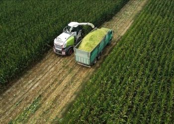 Tarım ÜFE temmuzda aylık bazda yüzde 8,03, yıllık yüzde 62,48 arttı