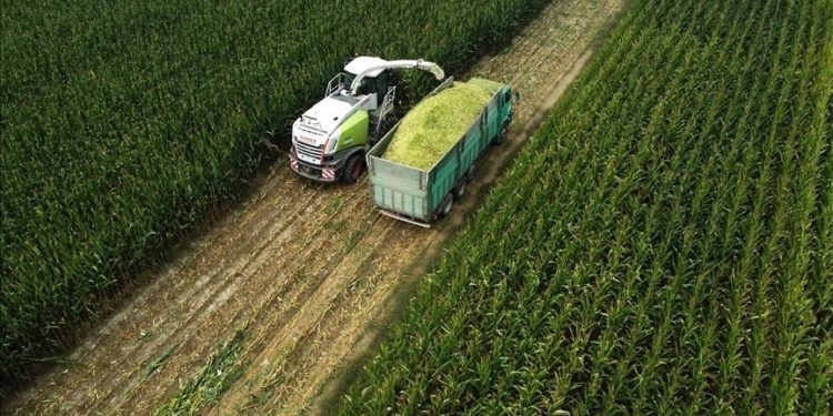 Tarım ÜFE temmuzda aylık bazda yüzde 8,03, yıllık yüzde 62,48 arttı