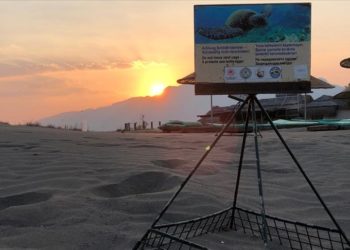 İztuzu sahilindeki caretta caretta yuvalarının sayısı 700'e ulaştı