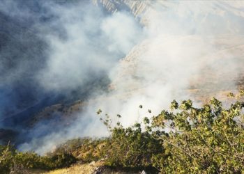 Adıyaman’ın Gerger ilçesinde çıkan orman yangını kontrol altına alındı