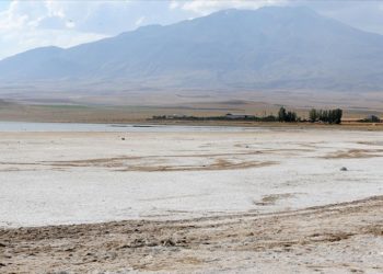 Suların çekildiği Arin Gölü’nün kıyıları otlağa dönüştü