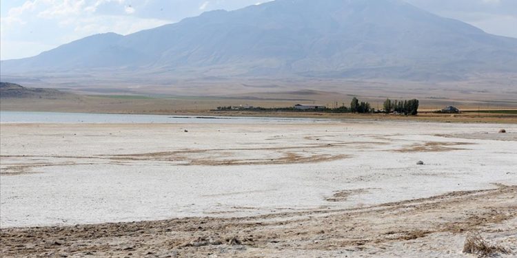 Suların çekildiği Arin Gölü’nün kıyıları otlağa dönüştü