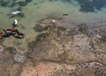İzmir’deki Tahtalı Barajı’nda doluluk son 14 yılın en düşük seviyesinde