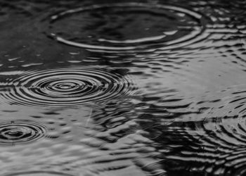 Belçika'da temmuzda 21 gün yağmur yağdı