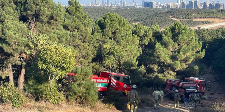 Sultangazi'de ormanlık alanda yangın çıktı