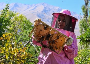 Pembe kıyafetli kadınlar 2 bin 800 rakımlı yaylada bal hasadına başladı