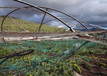 TARSİM doğal afetlerden etkilenen çiftçilere kalkan oluyor