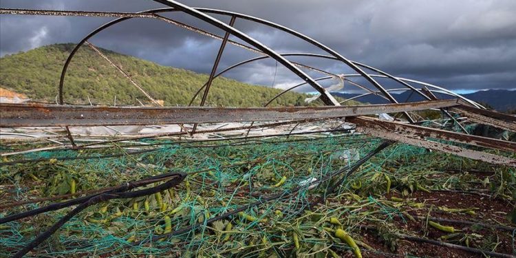 TARSİM doğal afetlerden etkilenen çiftçilere kalkan oluyor