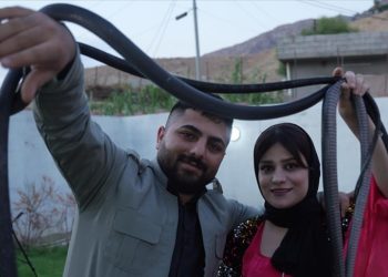 Süleymaniyeli çift geçimlerini evlerinde besledikleri yılanların yağından sağlıyor