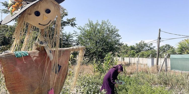 Kayseri Tren Garı personeli sarı boyalı 95 yıllık lojmanlarda doğayla iç içe yaşıyor