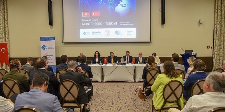 Türkiye-Karadağ ekonomik ilişkileri "sağlam zemine" oturtulacak