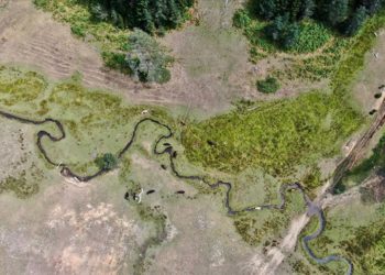 Düzce'de 1400 rakımlı Pürenli ve Balıklı yaylaları kampçıları ağırlıyor