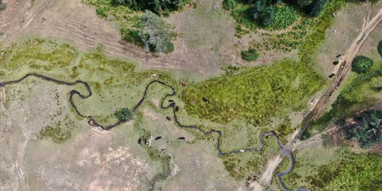 Düzce'de 1400 rakımlı Pürenli ve Balıklı yaylaları kampçıları ağırlıyor