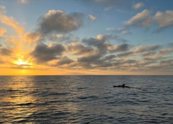 İki Türk sporcu, California’daki Catalina Kanalı’nı 13 saatte yüzerek geçti