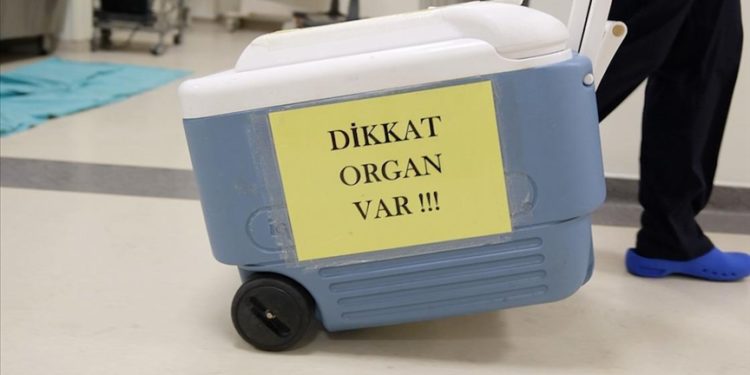 Beyin ölümü gerçekleşen anne nakil bekleyen hastaya umut oldu