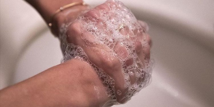 Kuduz şüphesinde yaralanma bölgesinin doğru temizliği virüsü önlemede etkili