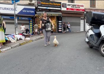 Alışverişe yanında götürdüğü ördeği pazarın maskotu oldu