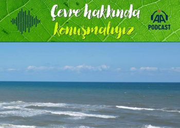 Jelimsi organizmaların artması deniz biyolojisine zarar mı veriyor?