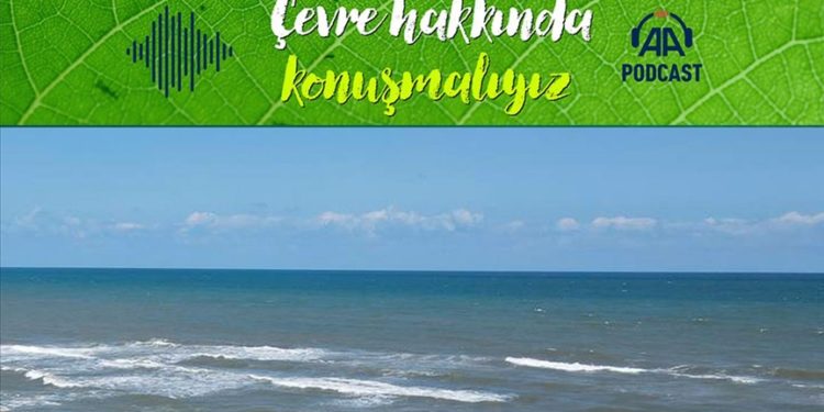 Jelimsi organizmaların artması deniz biyolojisine zarar mı veriyor?