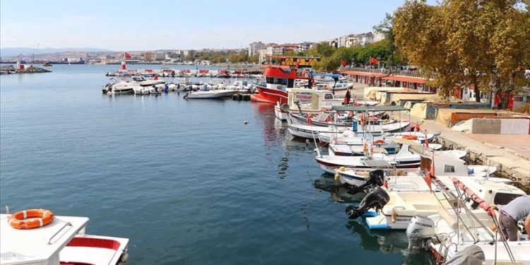 Marmara'da umduğunu bulamayan Tekirdağlı balıkçılar Karadeniz'e ağ atacak