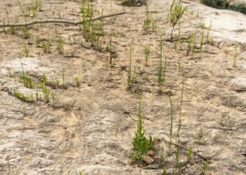 İklim değişikliğinin İber Yarımadası’na etkisi hızla artıyor