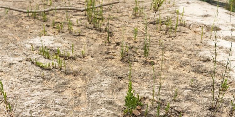 İklim değişikliğinin İber Yarımadası’na etkisi hızla artıyor