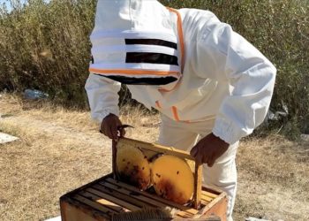 Türkiye Arıcılık Haritası güncellendi