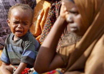 Nijerya'nın kuzeydoğusunda 8,3 milyon kişi insani yardıma muhtaç