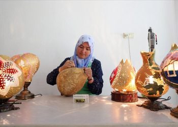 Tesadüfen eline geçen süs kabağı tohumu gelir kapısı oldu