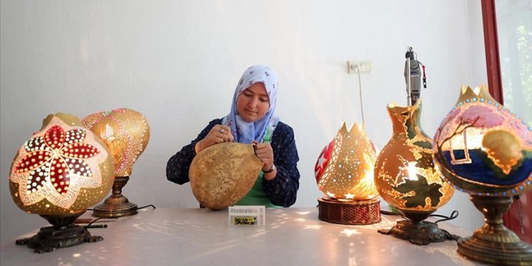 Tesadüfen eline geçen süs kabağı tohumu gelir kapısı oldu