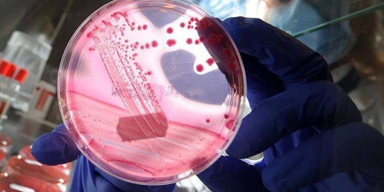 Uluslararası yumurtalık kanseri uygulaması “Olivia” Türkçe de hizmet verecek