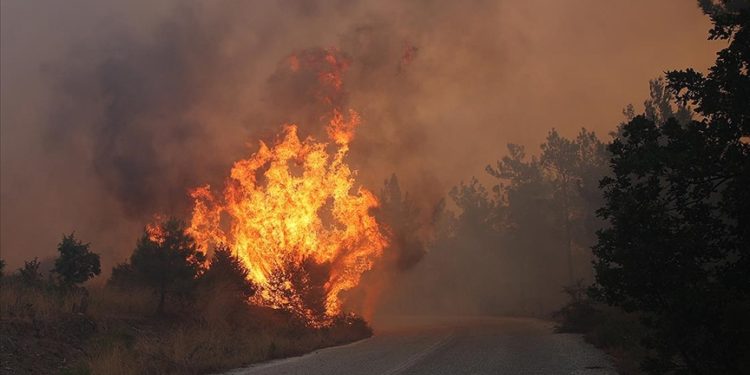 Yunanistan'daki yangınlarda düzensiz göçmenler de çıkış yolu arıyor