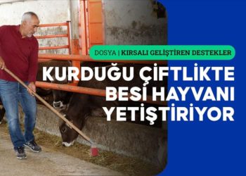 Sivaslı öğretmen TKDK desteğiyle kurduğu çiftlikte besi hayvanı yetiştiriyor