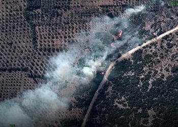 Muğla'da çıkan orman yangınına müdahale ediliyor