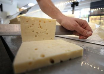 Balıkesir’in “ağlayan” tescilli peyniri 120 günde olgunlaşıp sofralara geliyor