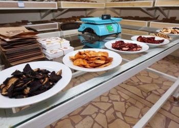 Sakarya'da yıllık 10 bin ton kurutulmuş meyve ve sebze üretimi hedefleniyor