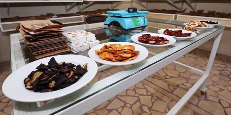 Sakarya'da yıllık 10 bin ton kurutulmuş meyve ve sebze üretimi hedefleniyor