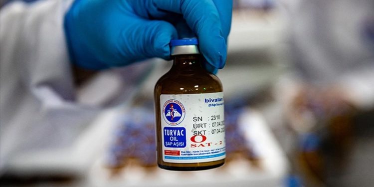 Şap hastalığına karşı sonbahar dönemi aşılama kampanyası bugün başladı