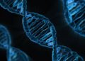 Google'ın yapay zeka şirketi DeepMind, DNA'da hastalığa yol açan genlerin bulunmasını hızlandırıyor