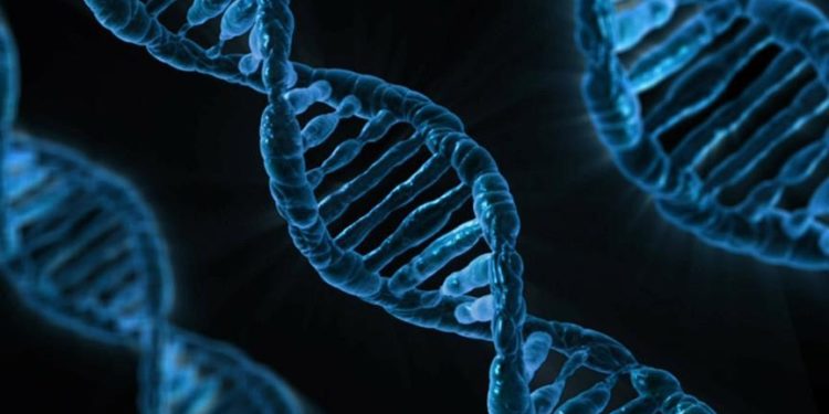 Google'ın yapay zeka şirketi DeepMind, DNA'da hastalığa yol açan genlerin bulunmasını hızlandırıyor