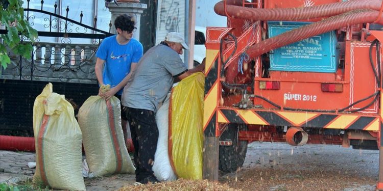 Fındık sezonunda tarımsal yaralanmalarda artış gözleniyor