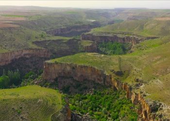 Ihlara Vadisi'ndeki bitki ve hayvan türleri kayıt altına alındı