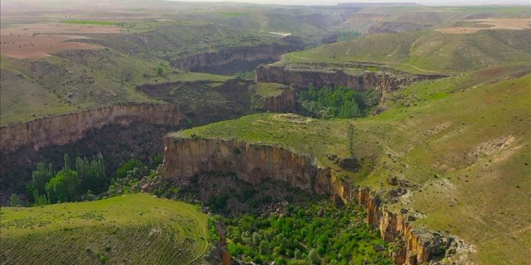 Ihlara Vadisi'ndeki bitki ve hayvan türleri kayıt altına alındı