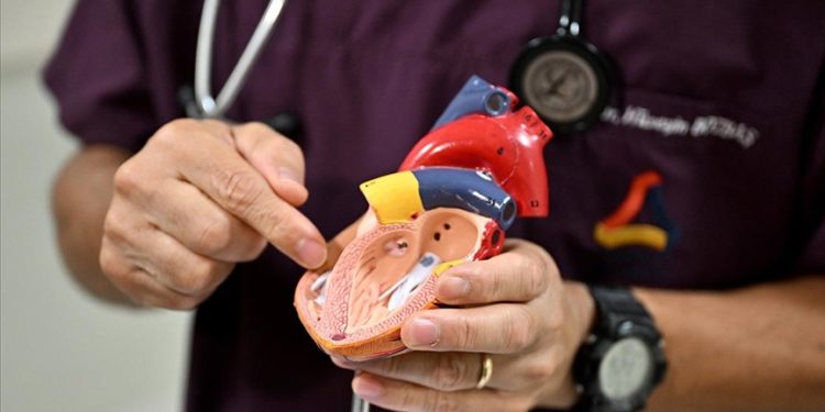 Sağ kalp kapağı yetmezliği yeni uygulanan anjiyo yöntemiyle tedavi edilebiliyor