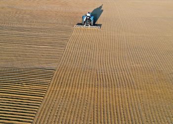 Türkiye'den 8 ayda 85 milyon 386 bin dolarlık bulgur ihracatı yapıldı
