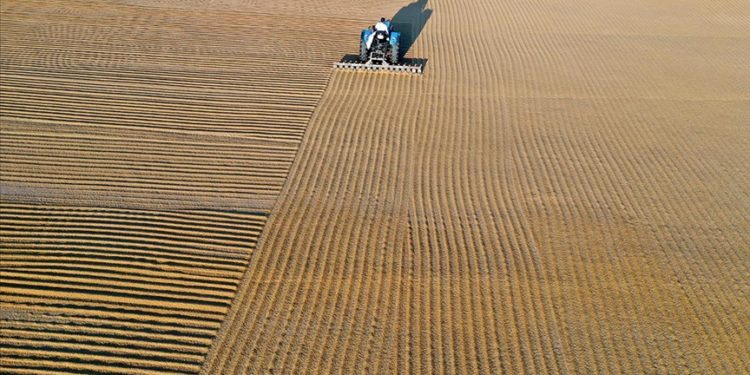 Türkiye'den 8 ayda 85 milyon 386 bin dolarlık bulgur ihracatı yapıldı
